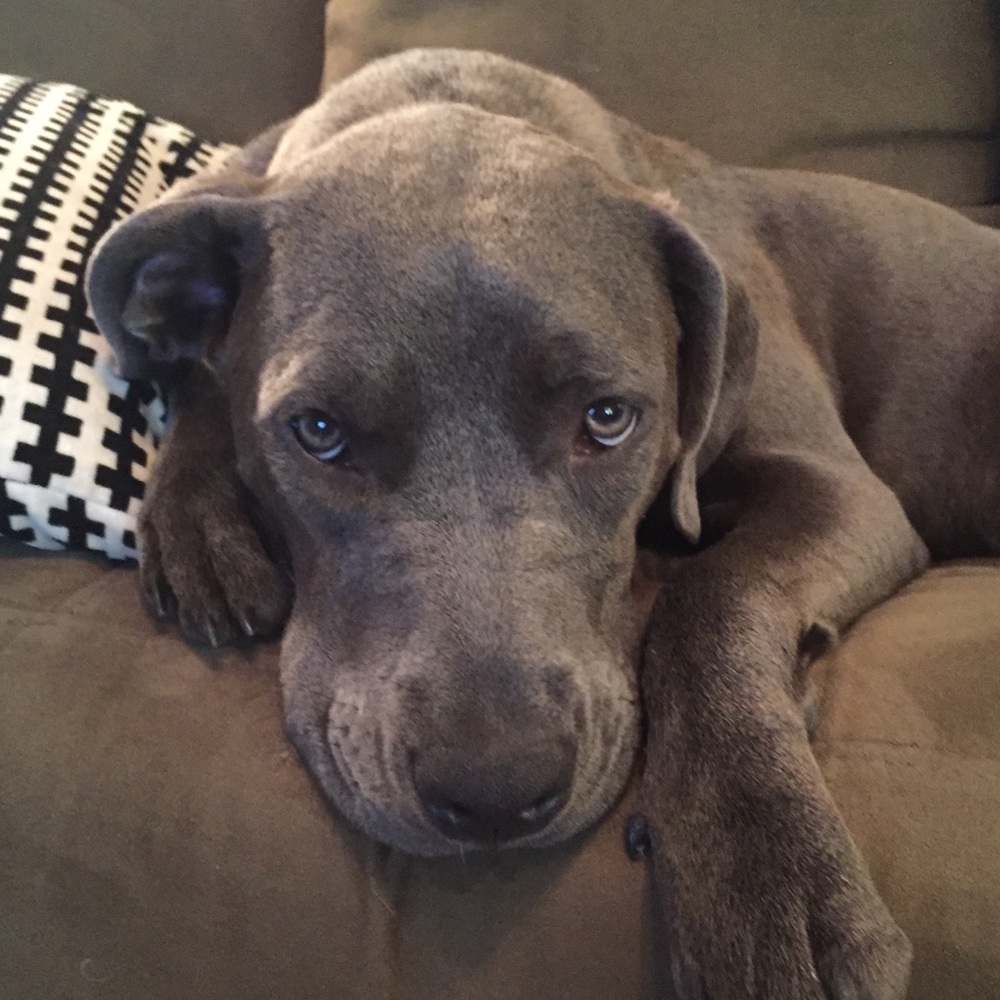 Meet your Posher, Lee